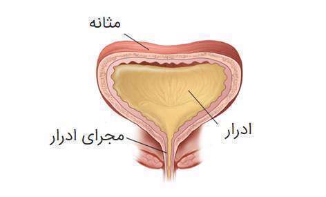 مشکلات ادراری، مثانه،