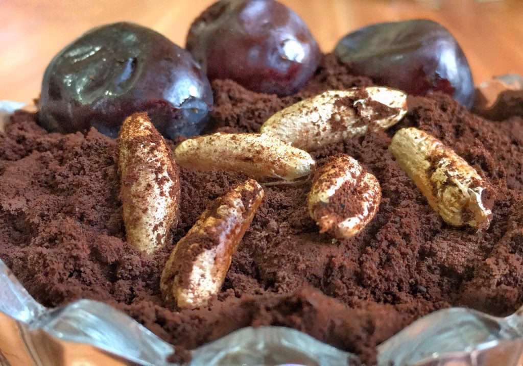 قهوه هسته خرما چیست و چه فوایدی دارد؟ هسته خرما