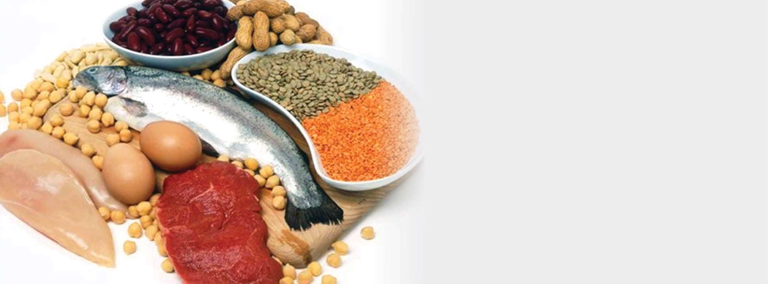 چگونه بفهمیم پروتئین کافی مصرف می کنیم؟ پروتئین، اسیدهای آمینه