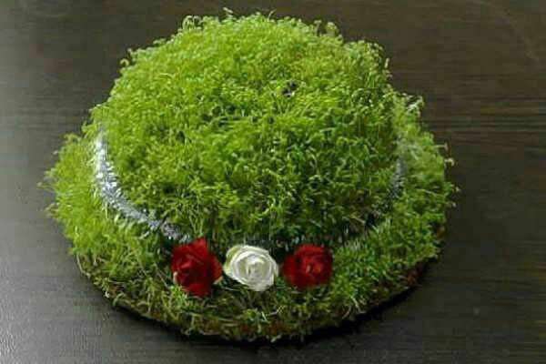 چند ایده خلاقانه برای سبزه عید نوروز 1400 چند ایده خلاقانه برای سبزه عید نوروز 1400