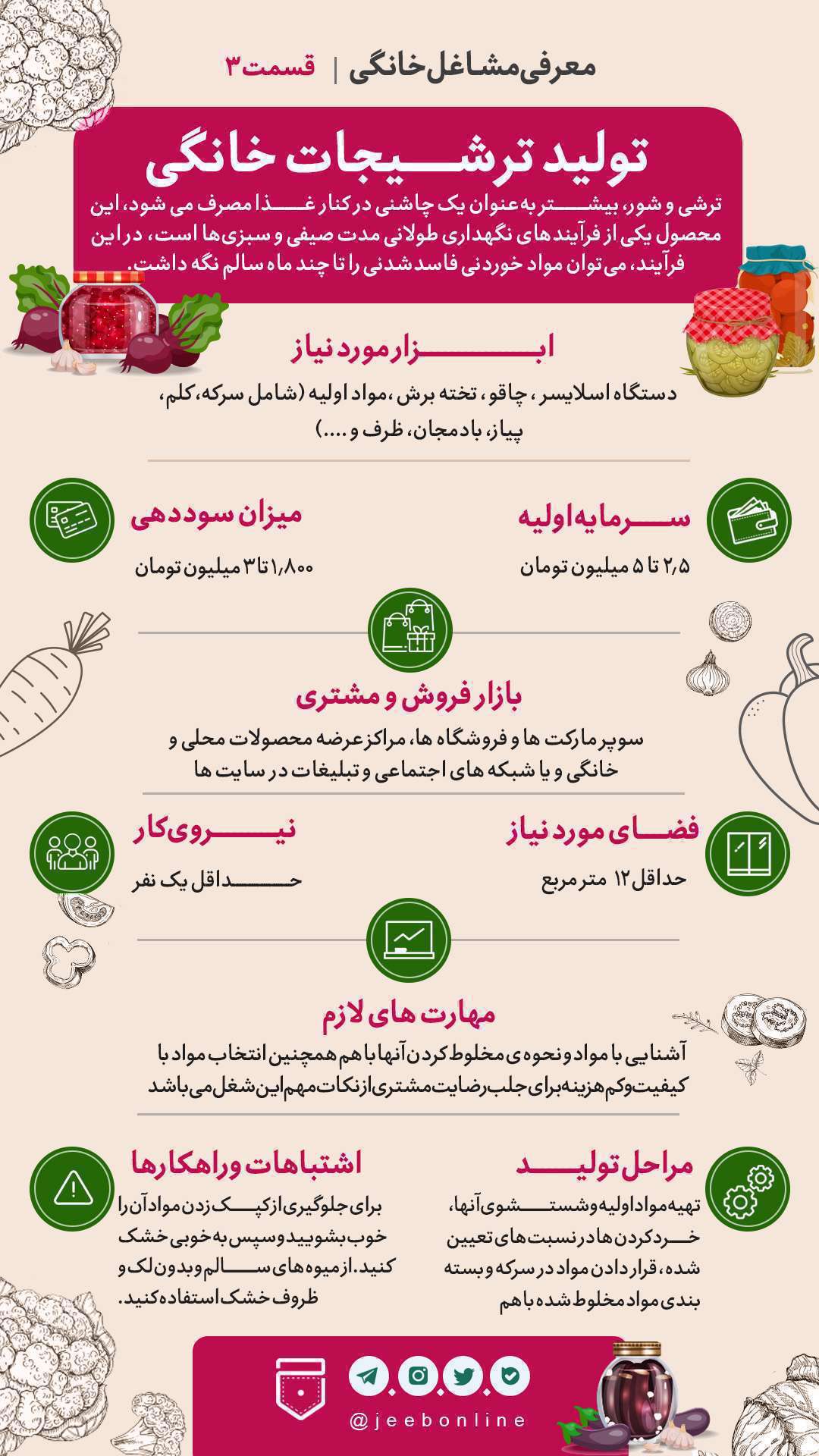 تولید ترشیجات خانگی، مشاغل خانگی، اینفوگرافی