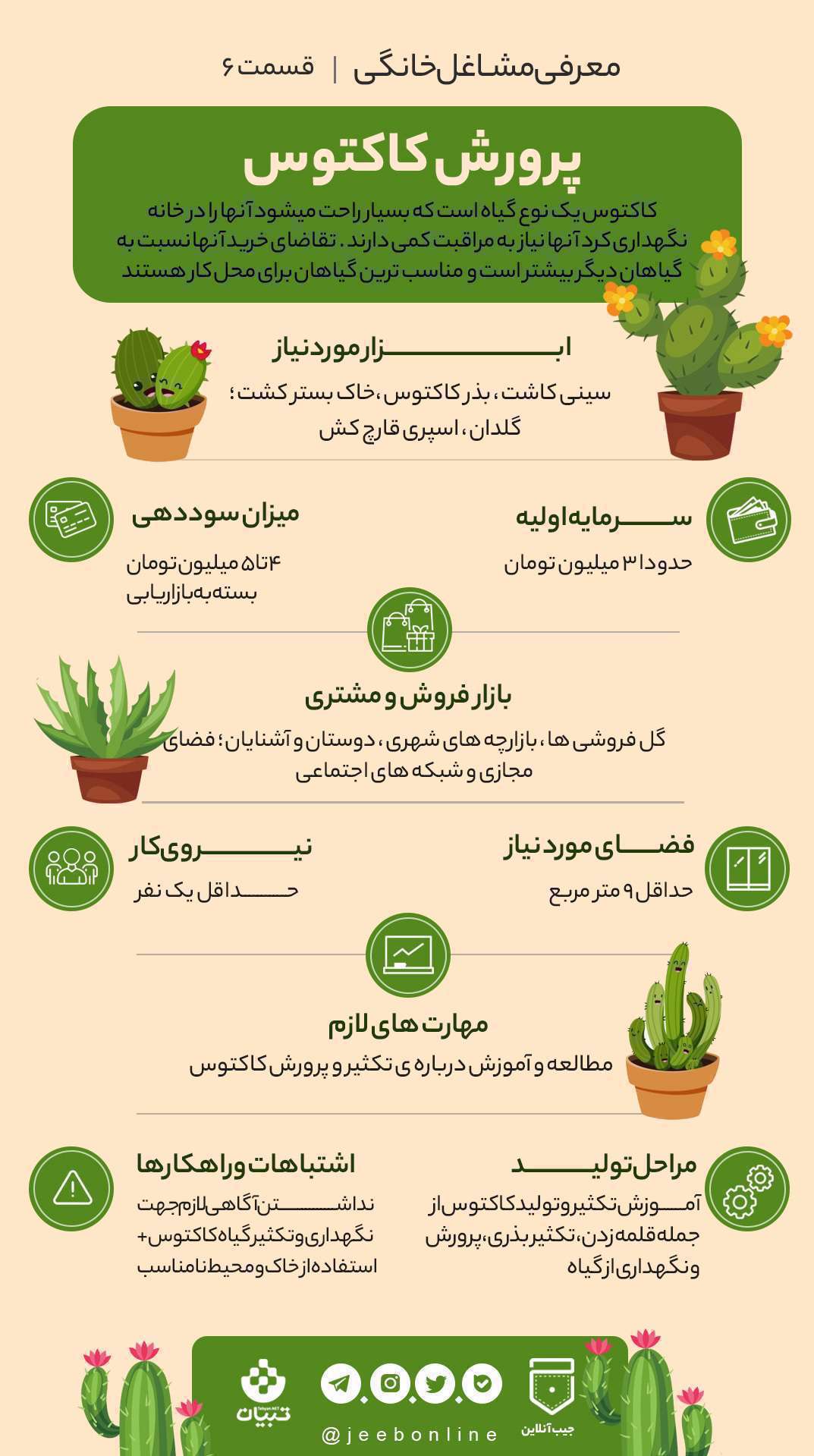 معرفی مشاغل خانگی، پرورش کاکتوس، اینفوگرافی،