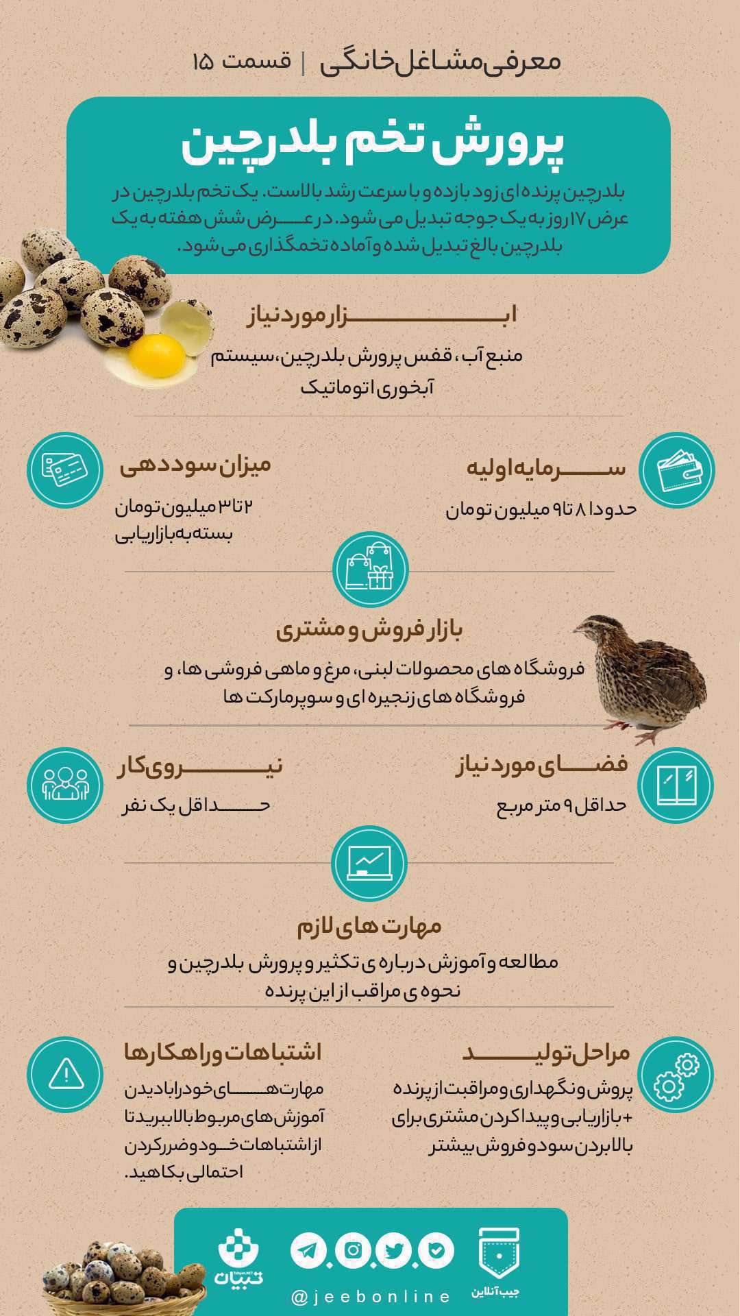 پرورش تخم بلدرچین، مشاغل خانگی، اینفوگرافی،