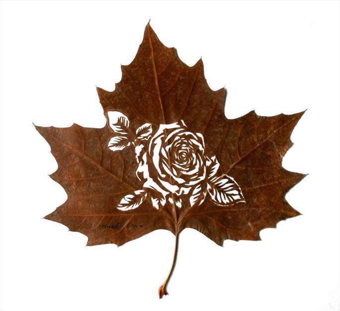 خلق آثار هنری با برگ | چند نمونه از کارهای امید اسدی