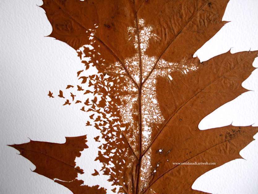 خلق آثار هنری با برگ | چند نمونه از کارهای امید اسدی