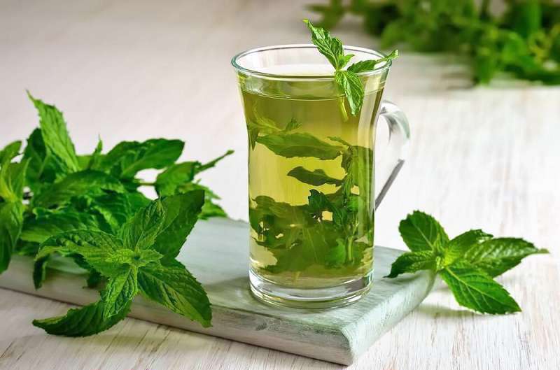 شربت نعناع