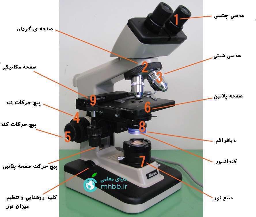 میکروسکوپ