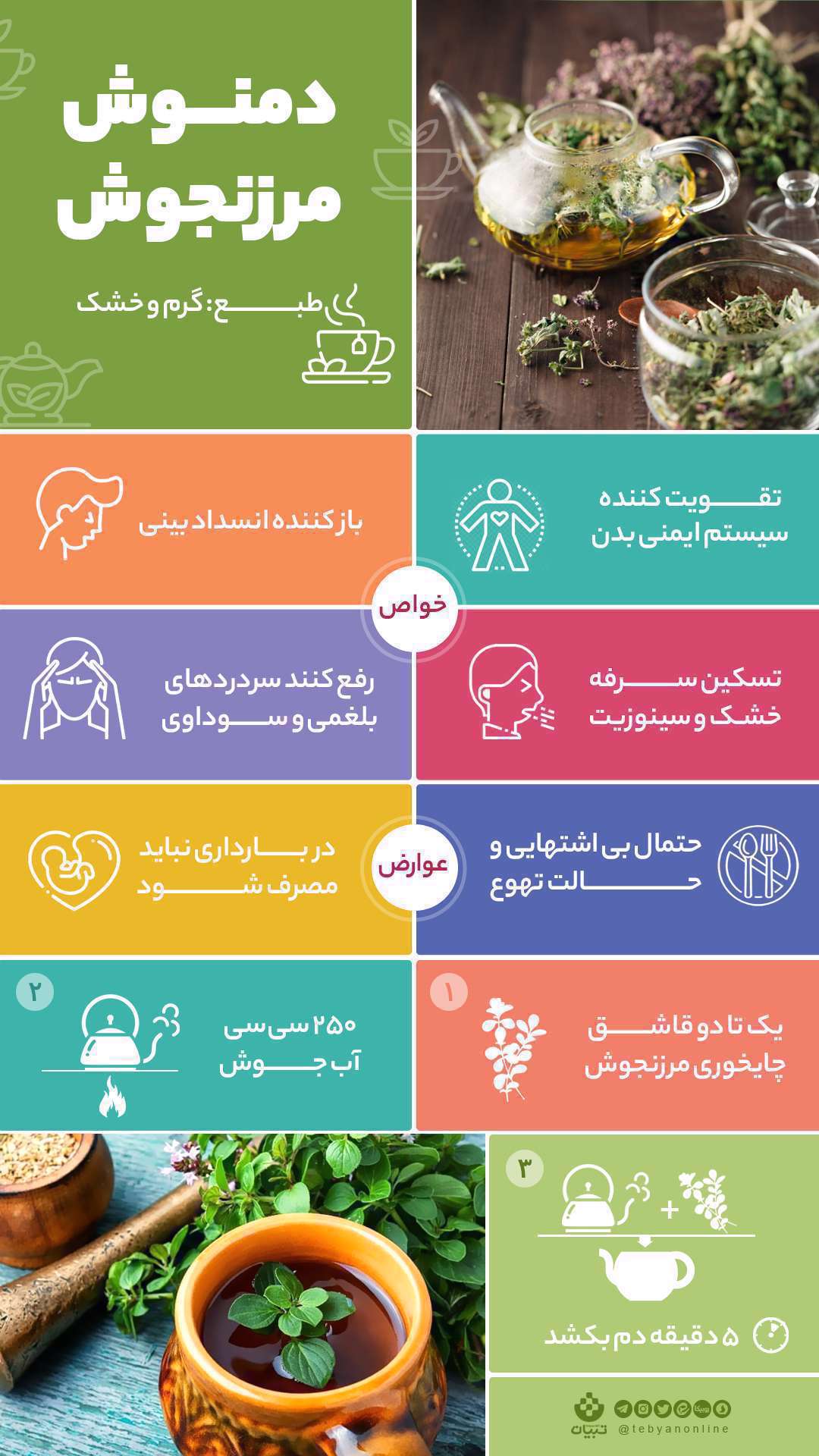 دمنوش مرزنجوش- اینفوگرافی -