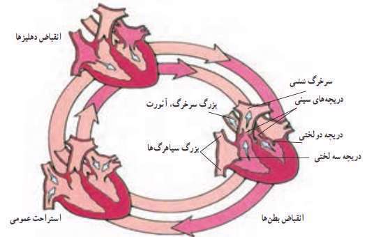 خواب رفتن دست و پا