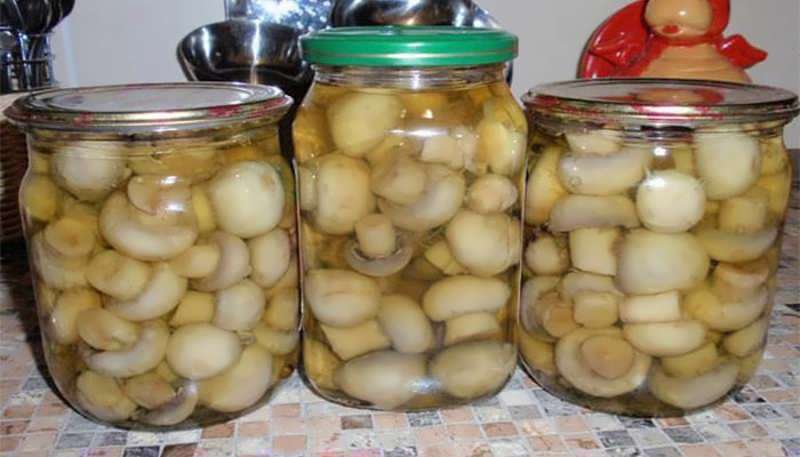 کنسرو قارچ