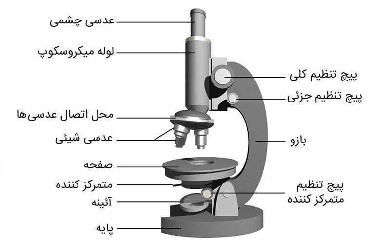 میکروسکوپ