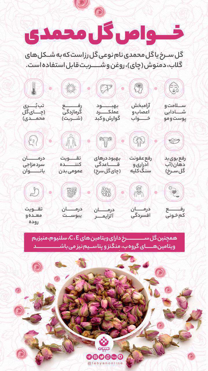 خواص گلمحمدی- اینفوگرافیک