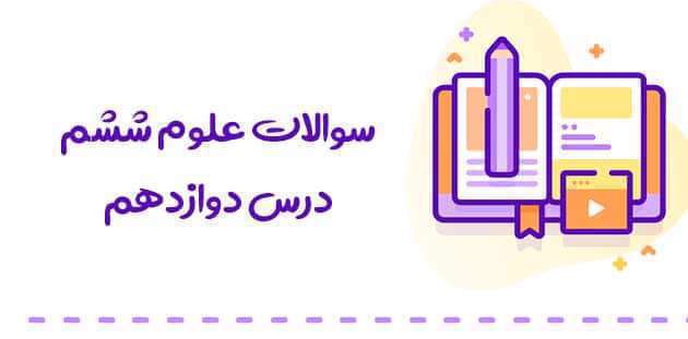قارچ ها