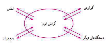 گردش خون