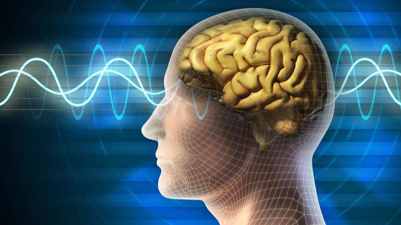 سلامت مغز - آلزایمر - سن مغز - حافظه -