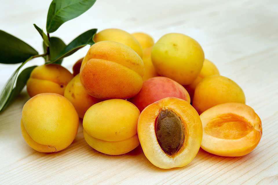 مارمالاد زرد آلو