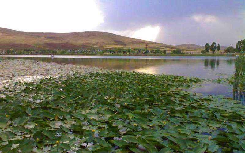 سرآب نیلوفر