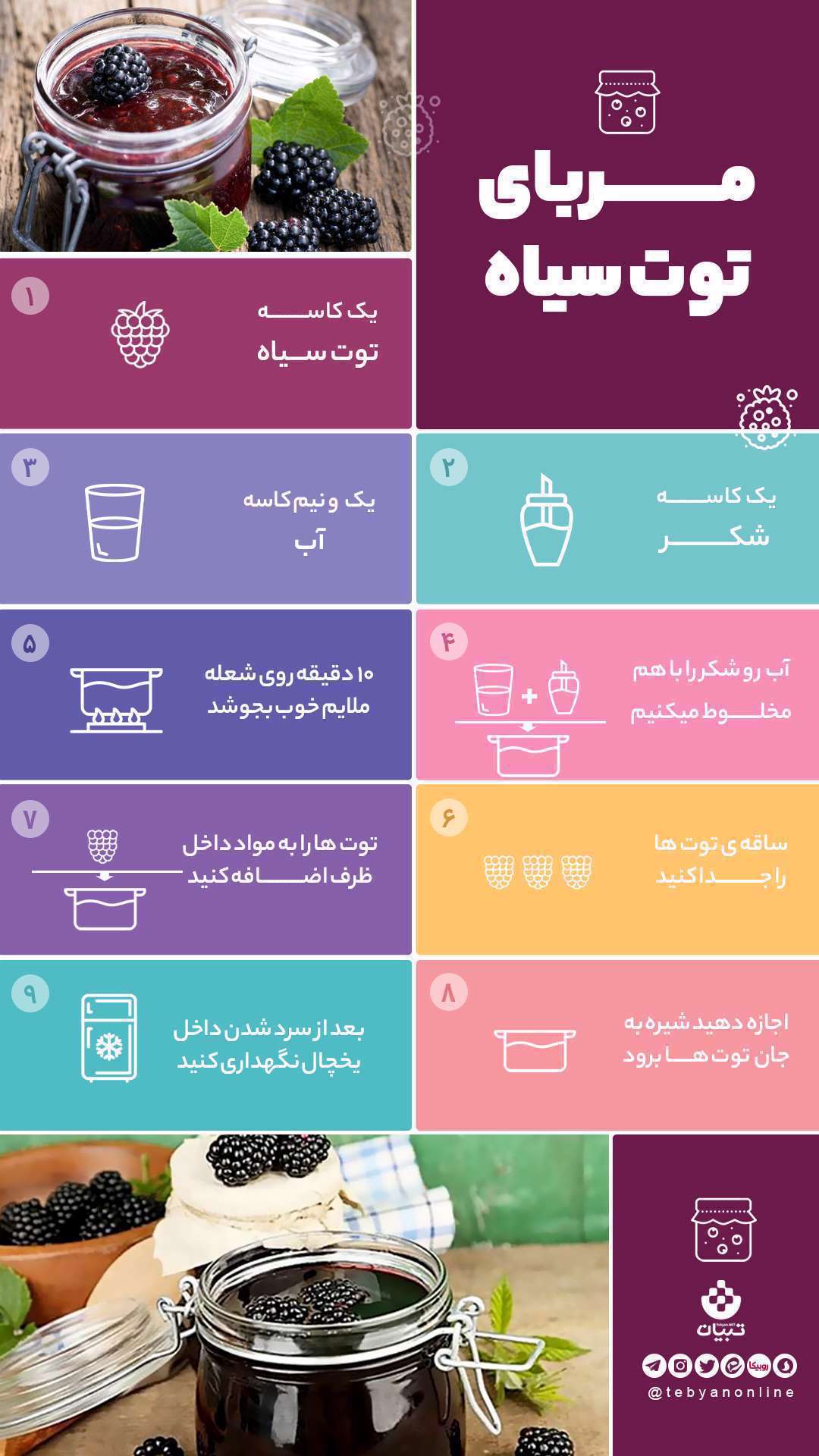 دسر - مربا - مربای توت سیاه - اینفوگرافیک - توت سیاه