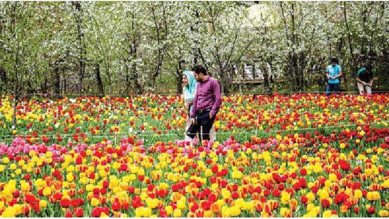 احساسخوشبختی - زندگی مشترک -