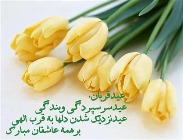 عید قربان