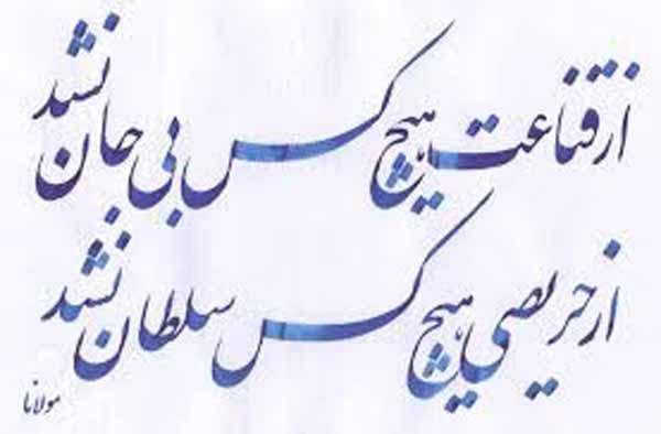 طمع
