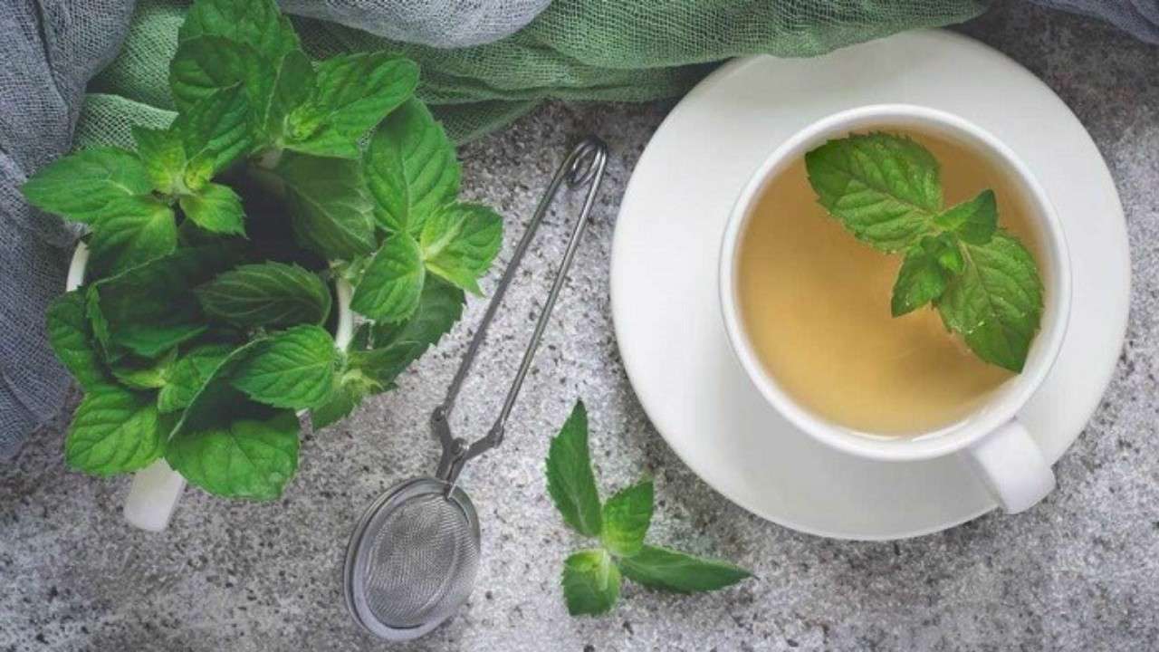 دمنوش نعنا و نعنا فلفلی