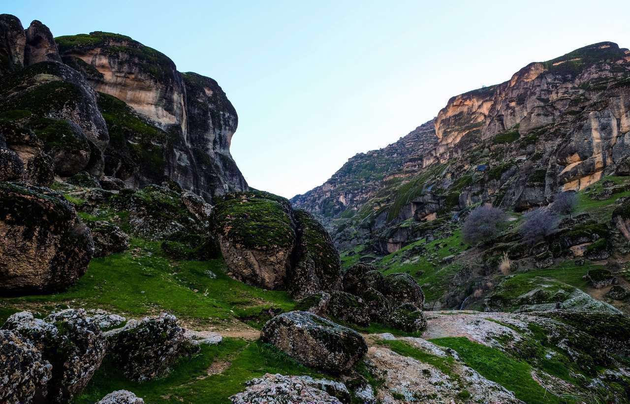 مخمل کوه