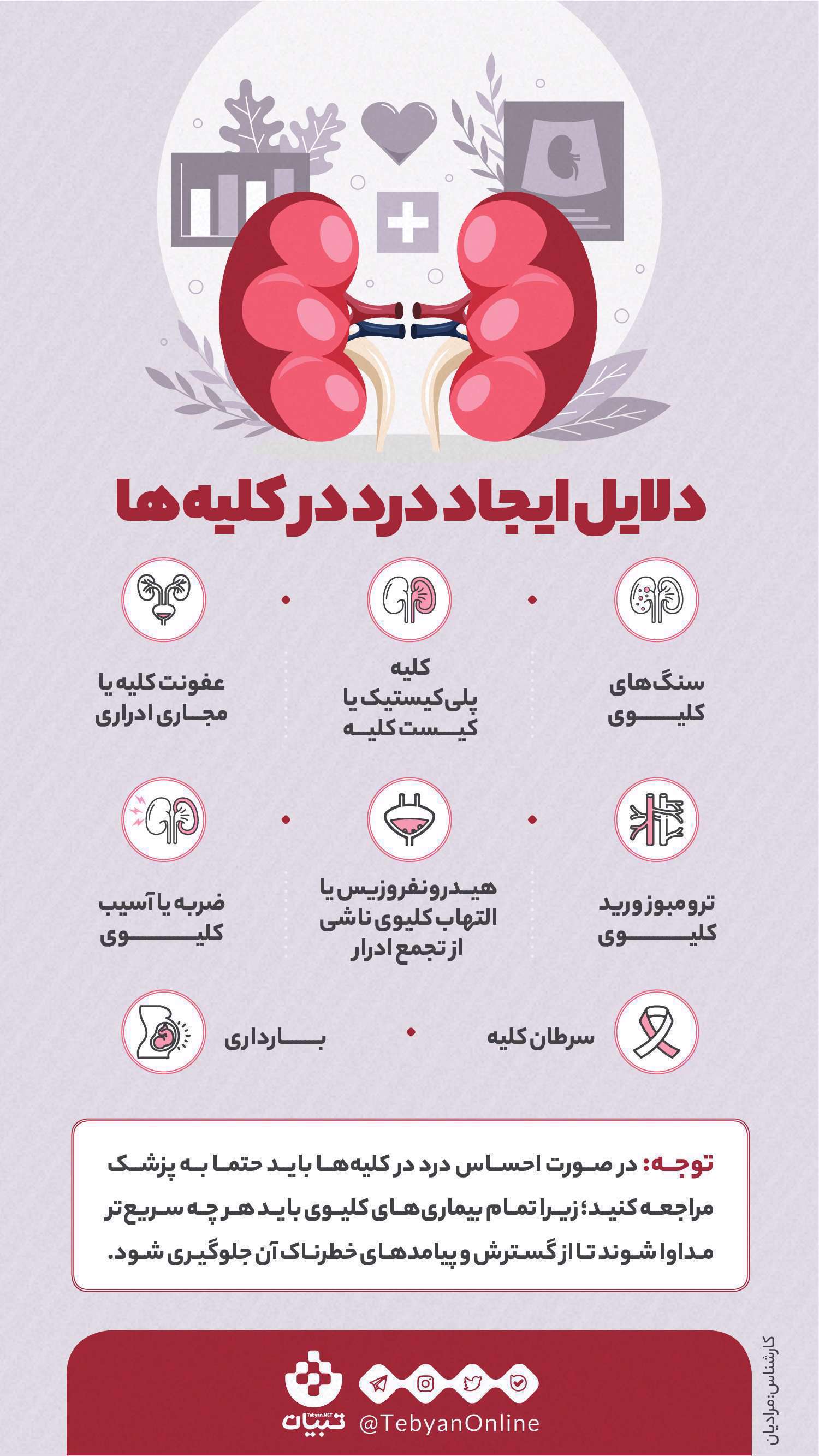درد کلیهها - اینفوگرافیک