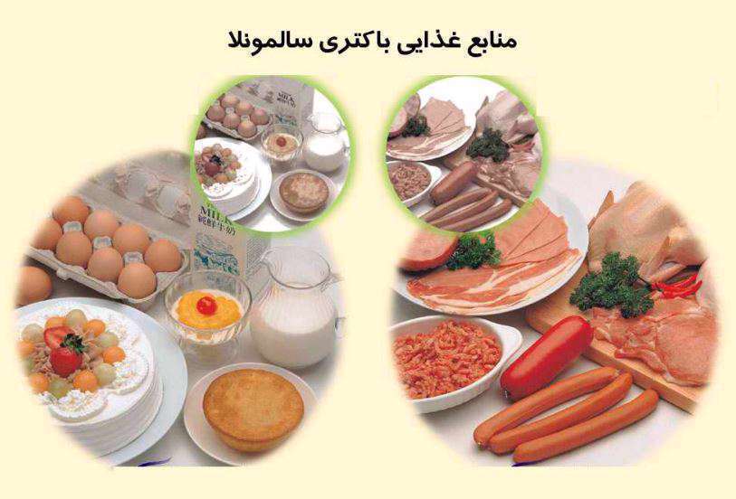 سالمونلا - مسمومیت غذایی