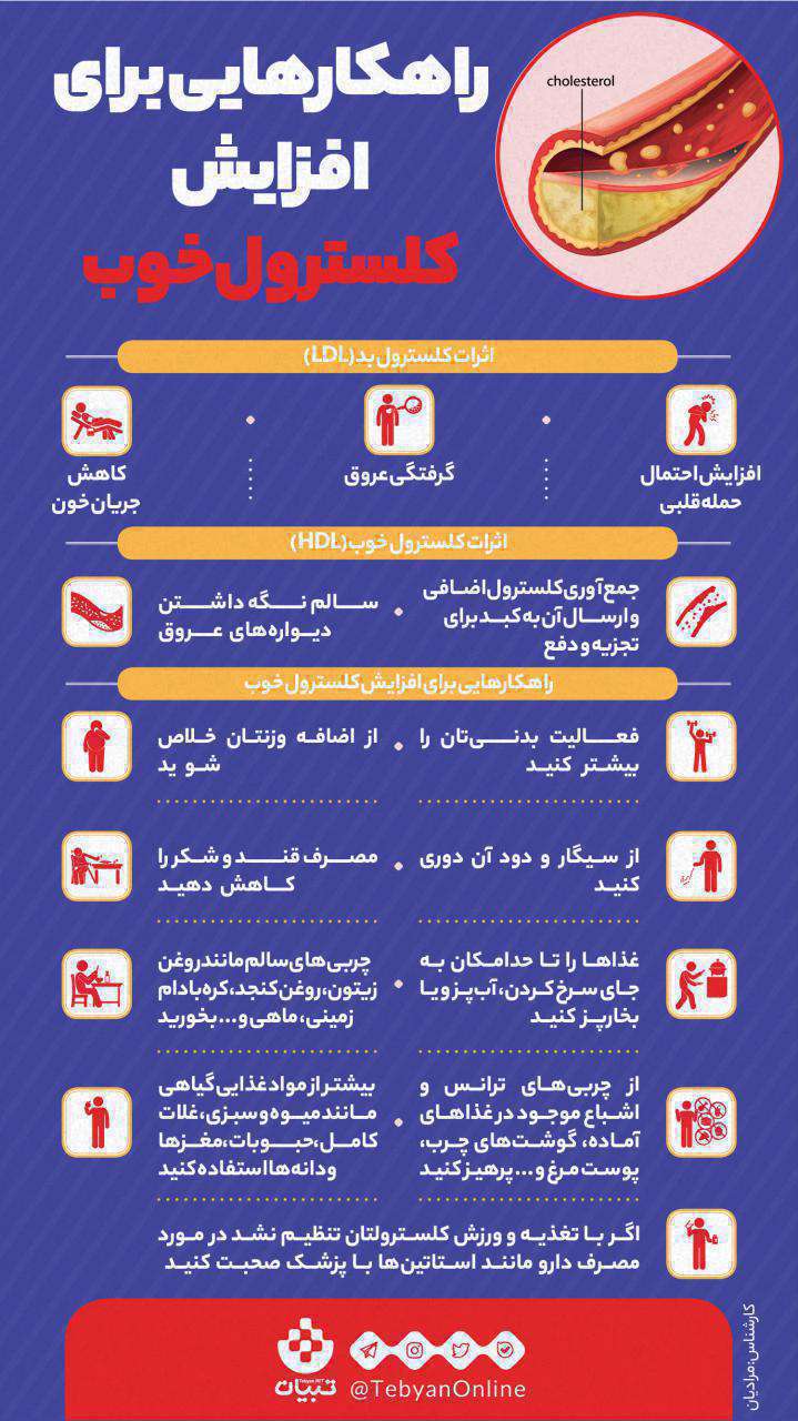 افزایش کلسترول خوب - hdl خون - کلسترول بالای خون- اینفوگرافیک