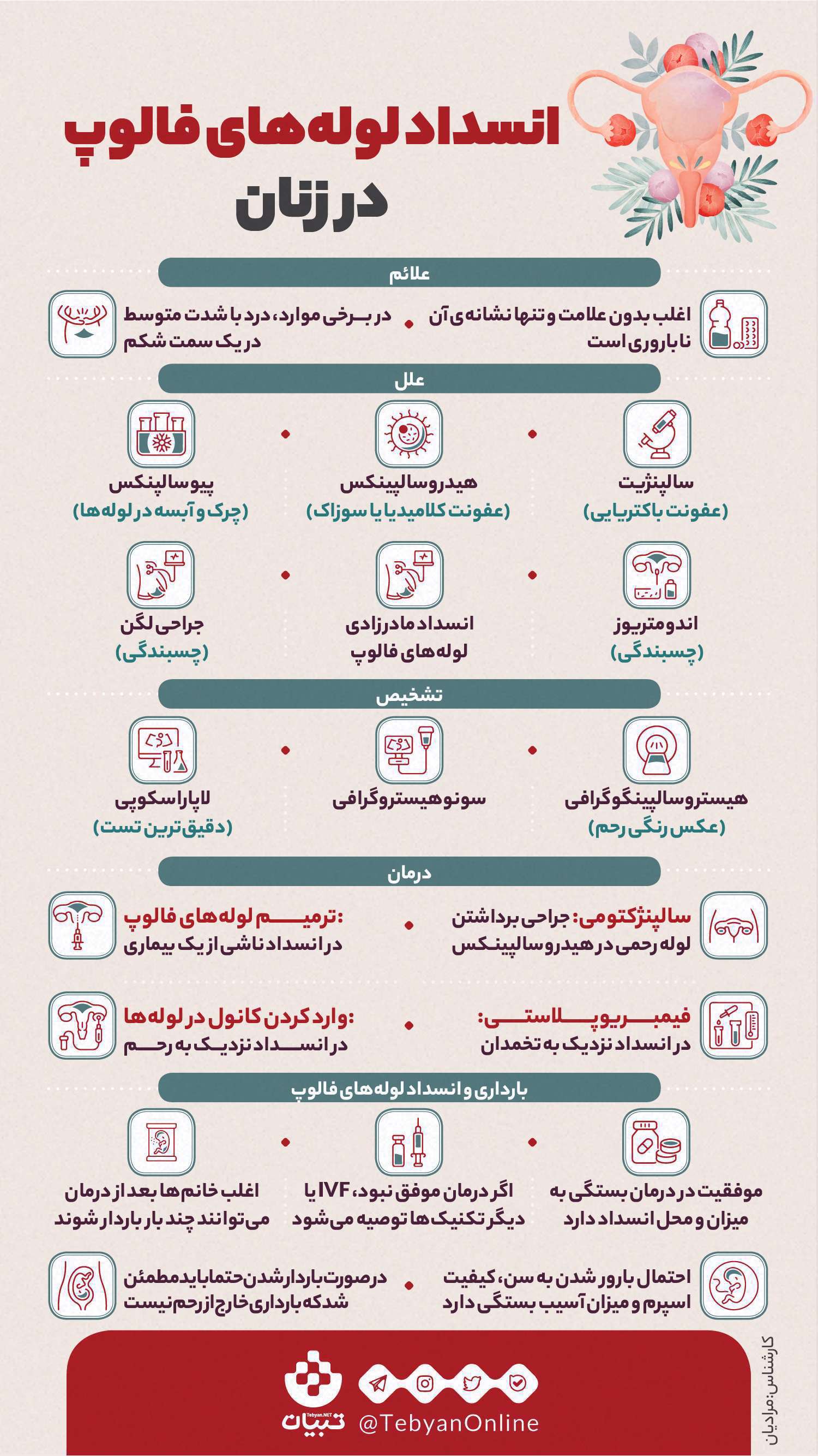 انسداد لولههای رحمی، لولههای فالوپ، تخمدانها، رحم،