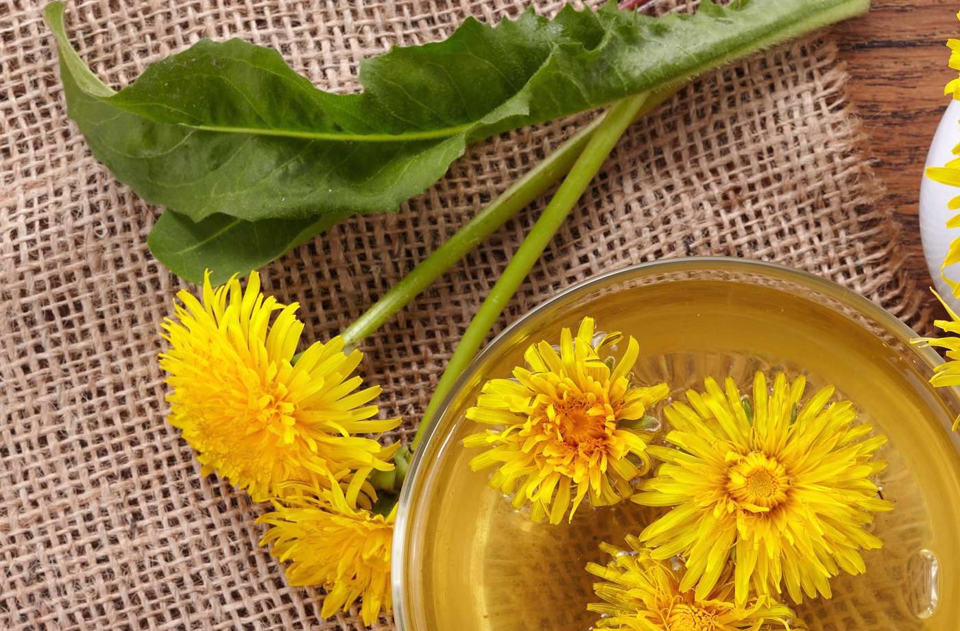چای قاصدک