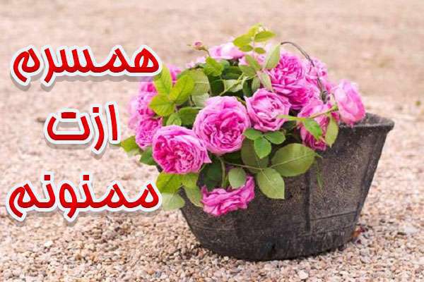 تشکر از همسر