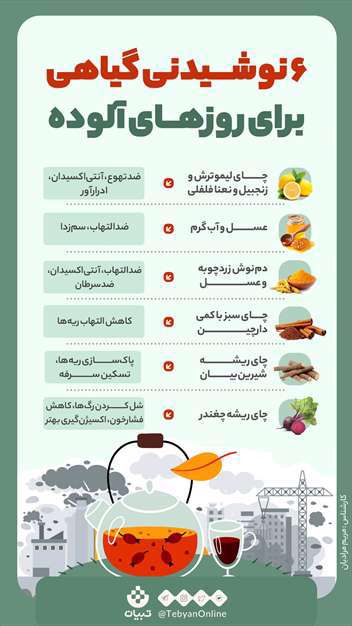 6 نوشیدنی گیاهی برای روزهای آلوده