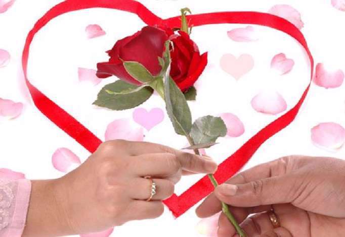 همسان گزینی، همسان یابی، گفتگو، همسر، ازدواج، همسریابی