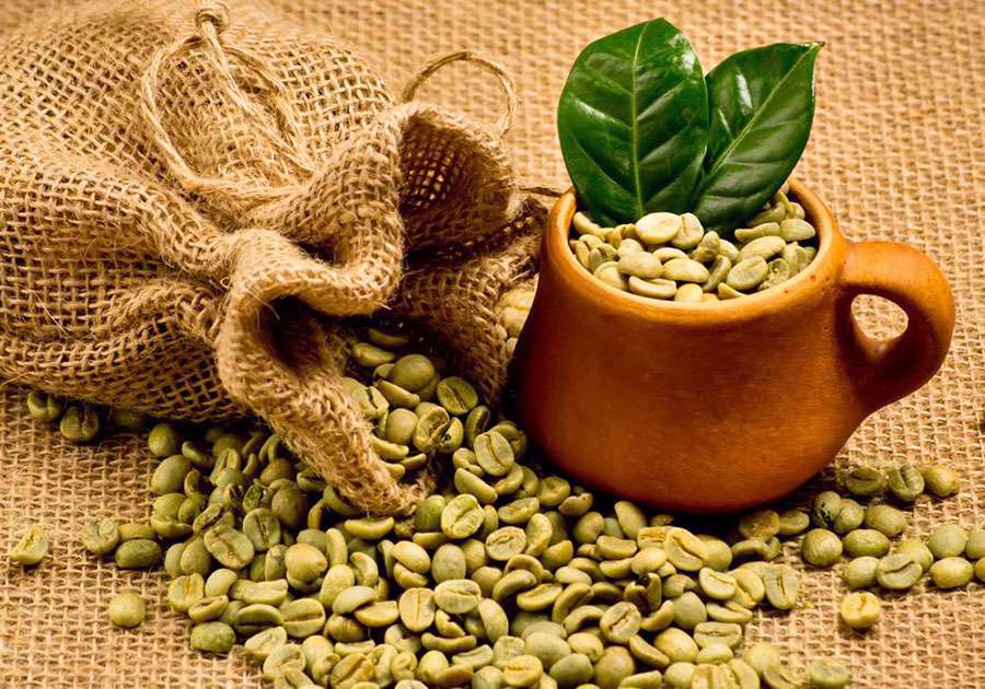 نوشیدنی، قهوه سبز، کافئین،