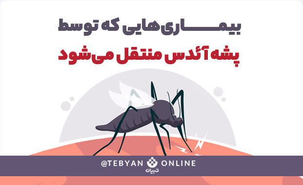 بیماریهایی که توسط پشه آئدس منتقل میشود بیماریهایی که توسط پشه آئدس منتقل میشود