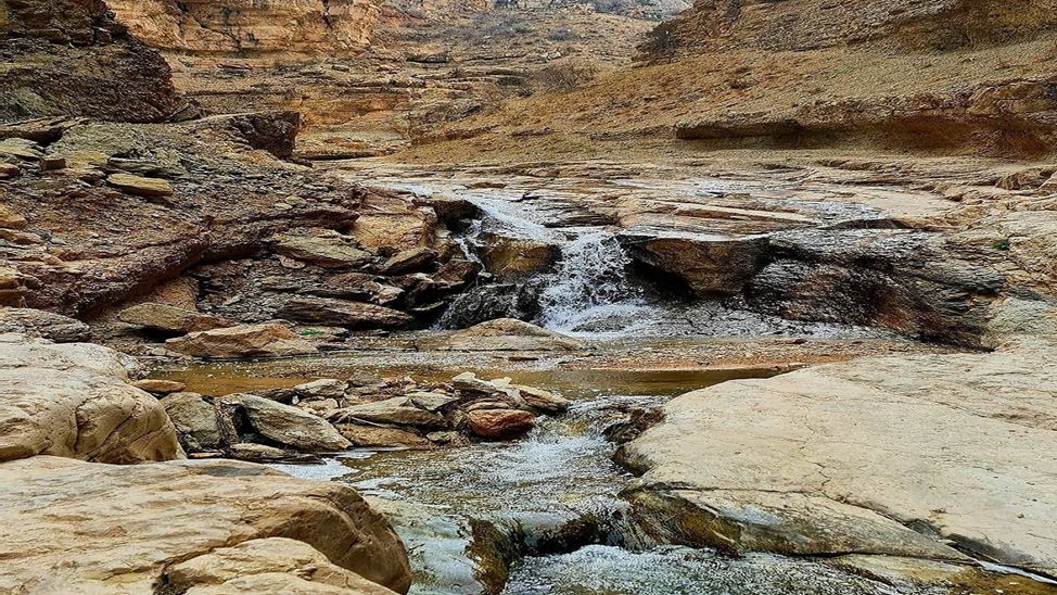 طبیعت سرسبز خراسان طبیعت سرسبز خراسان