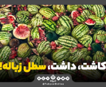 کاشت، داشت، سطل زباله!