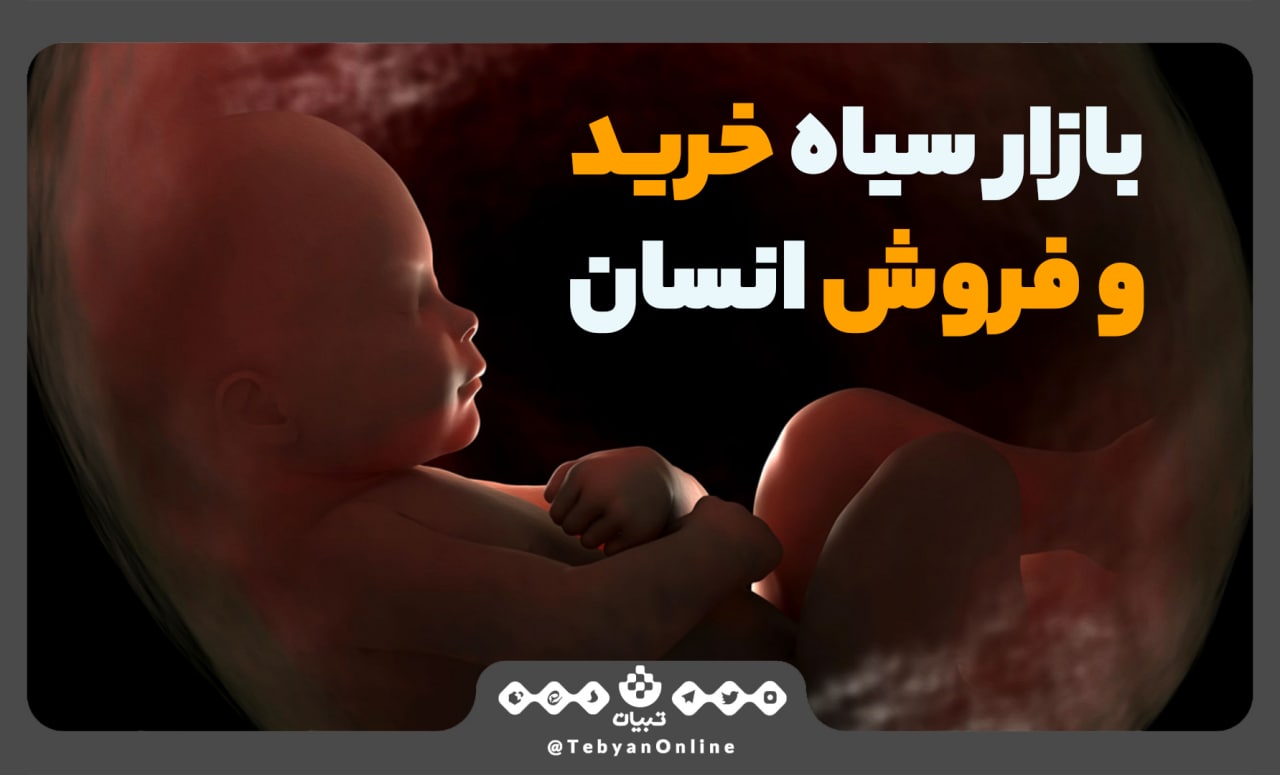زوج های نابارور، عوارض اهدای تخمک، بازار سیاه خرید و فروش انسان، زوج های نابارور، عوارض اهدای تخمک، بازار سیاه خرید و فروش انسان،