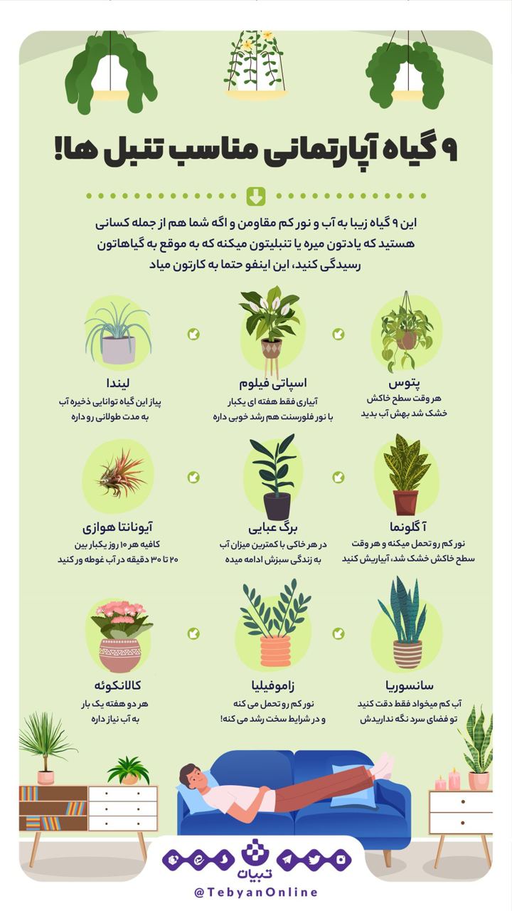 گیاهان خانگی