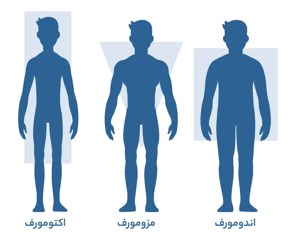 انواع ترکیب بدنی انواع ترکیب بدنی