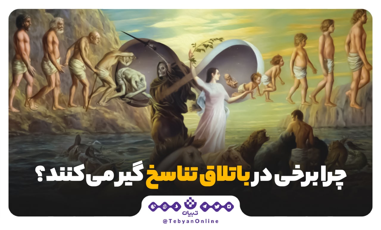 تناسخ، معاد، پاداش و كیفر اعمال، روح انسان، اعتقاد به تناسخ، تناسخ، معاد، پاداش و كیفر اعمال، روح انسان، اعتقاد به تناسخ،