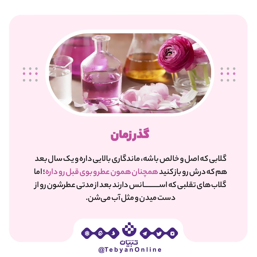 گلاب اصل گلاب اصل