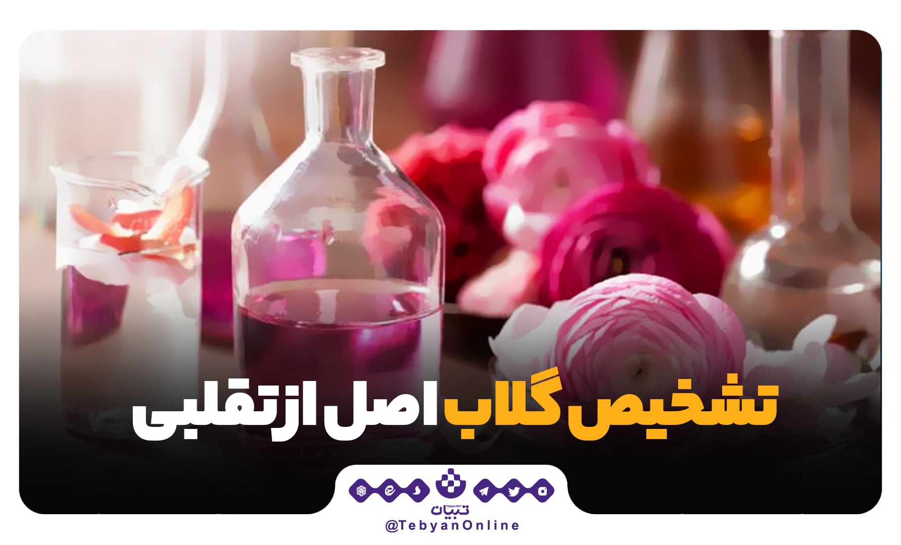 گلاب اصل گلاب اصل