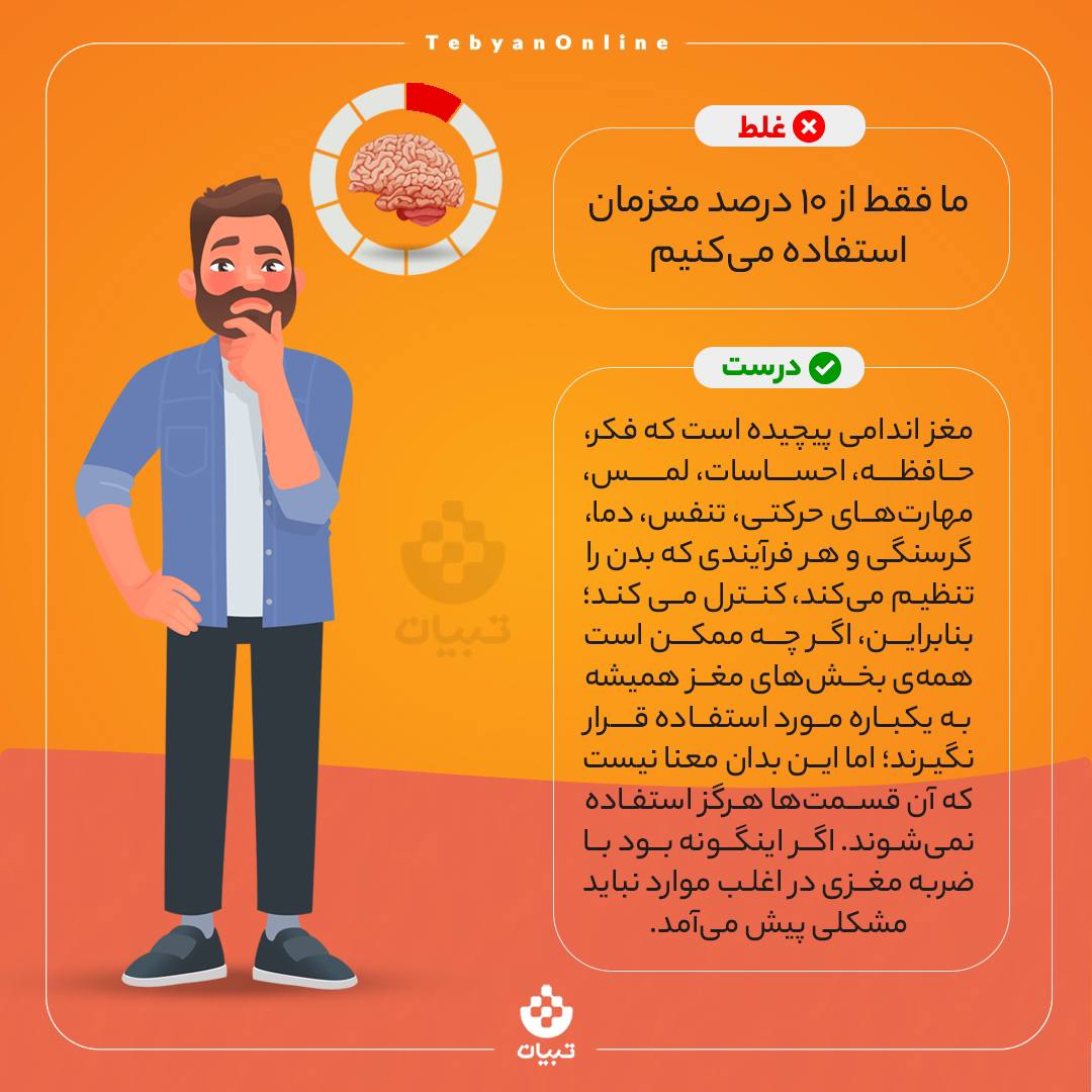 باور غلط ، استفاده از مغز، مغز انسان، بخش های مغز انسان، باور غلط ، استفاده از مغز، مغز انسان، بخش های مغز انسان،