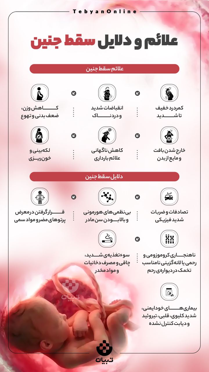 اینفوگرافیک، سقط جنین، بارداری، اینفوگرافیک، سقط جنین، بارداری،