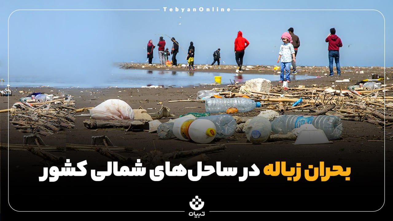 ساحل دریا ساحل دریا