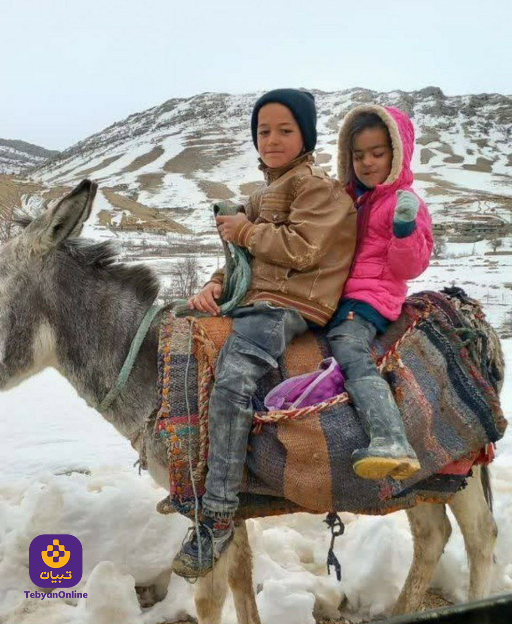 ماجرای طلبه ای قصه خوان در روستاها، اسماعیل آذری نژاد، موعظه، قصه خوانی، گزارش تبیان، کودکان، ماجرای طلبه ای قصه خوان در روستاها، اسماعیل آذری نژاد، موعظه، قصه خوانی، گزارش تبیان، کودکان،