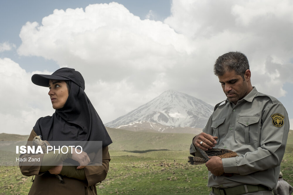 آزادسازی پرندگان در پارک ملی لار آزادسازی پرندگان در پارک ملی لار